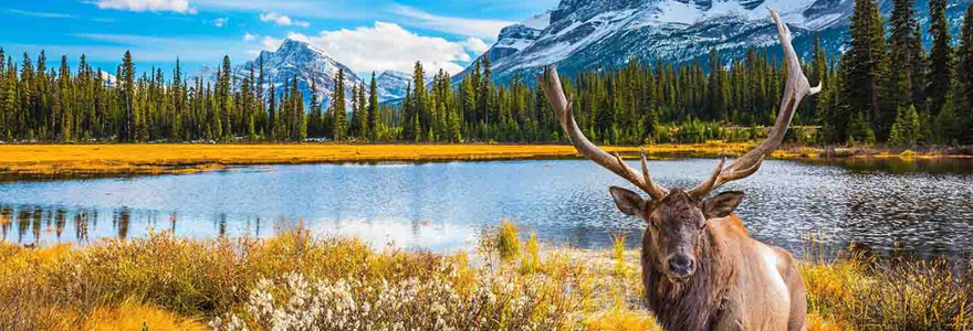 Voyage au Canada